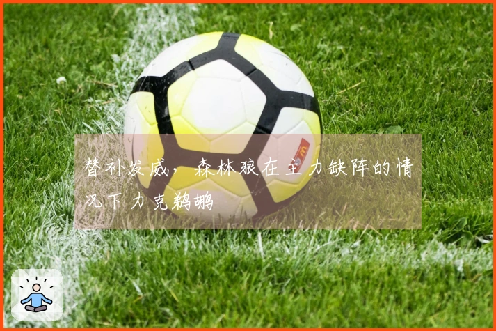 替补发威，森林狼在主力缺阵的情况下力克鹈鹕